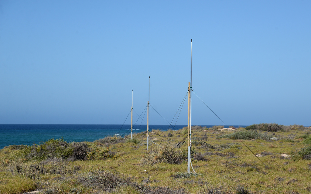 High frequency radar observations of the Ningaloo Current