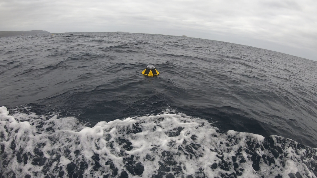 Introducing the New Technology Projects: Low cost wave buoy technology