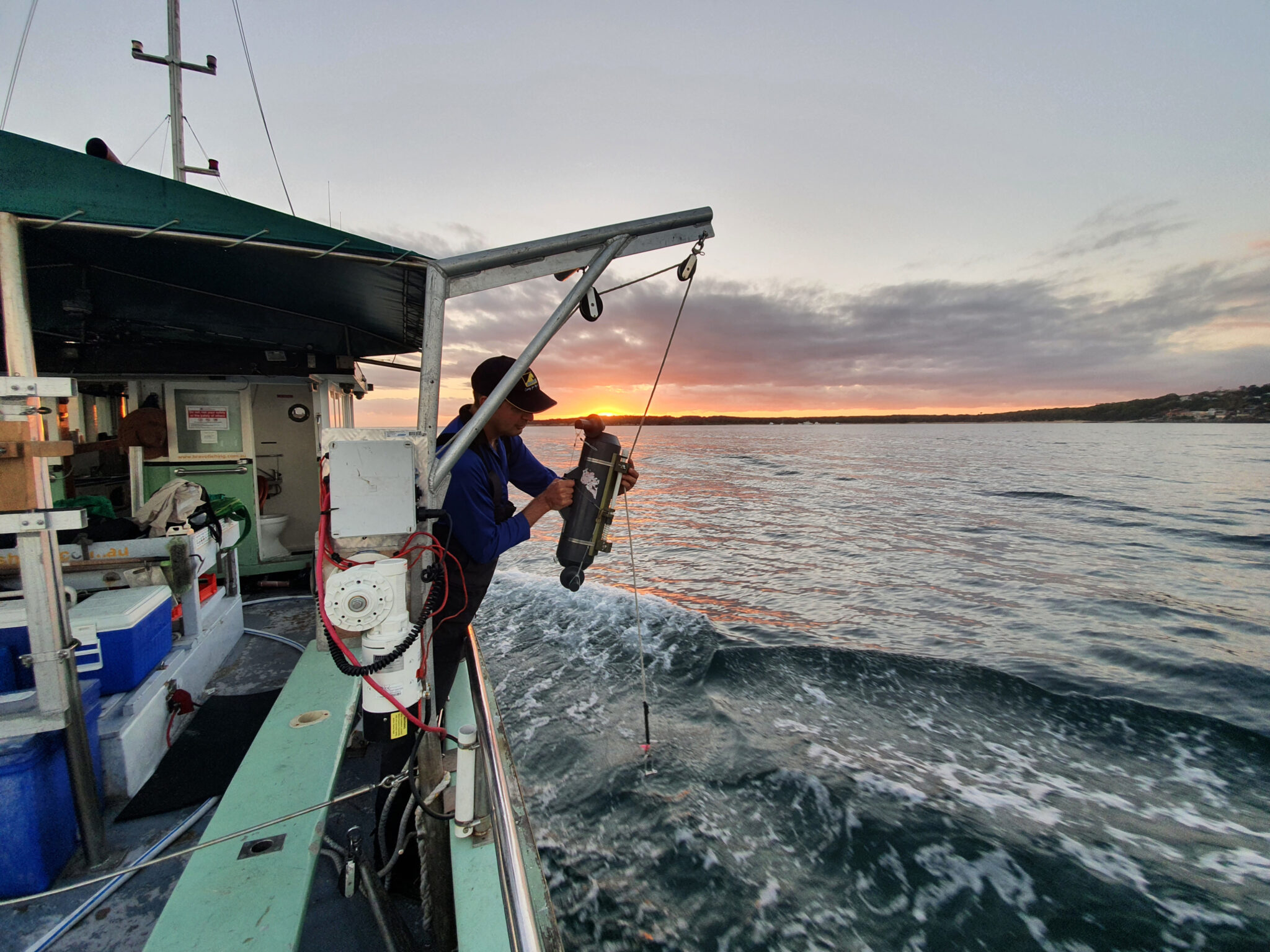 Study reveals marine heatwaves have significant impact on microorganisms