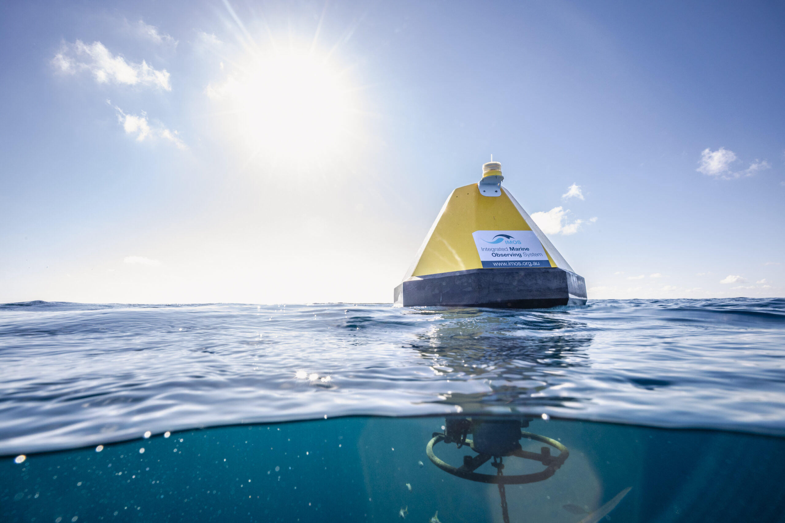 Acidification Moorings