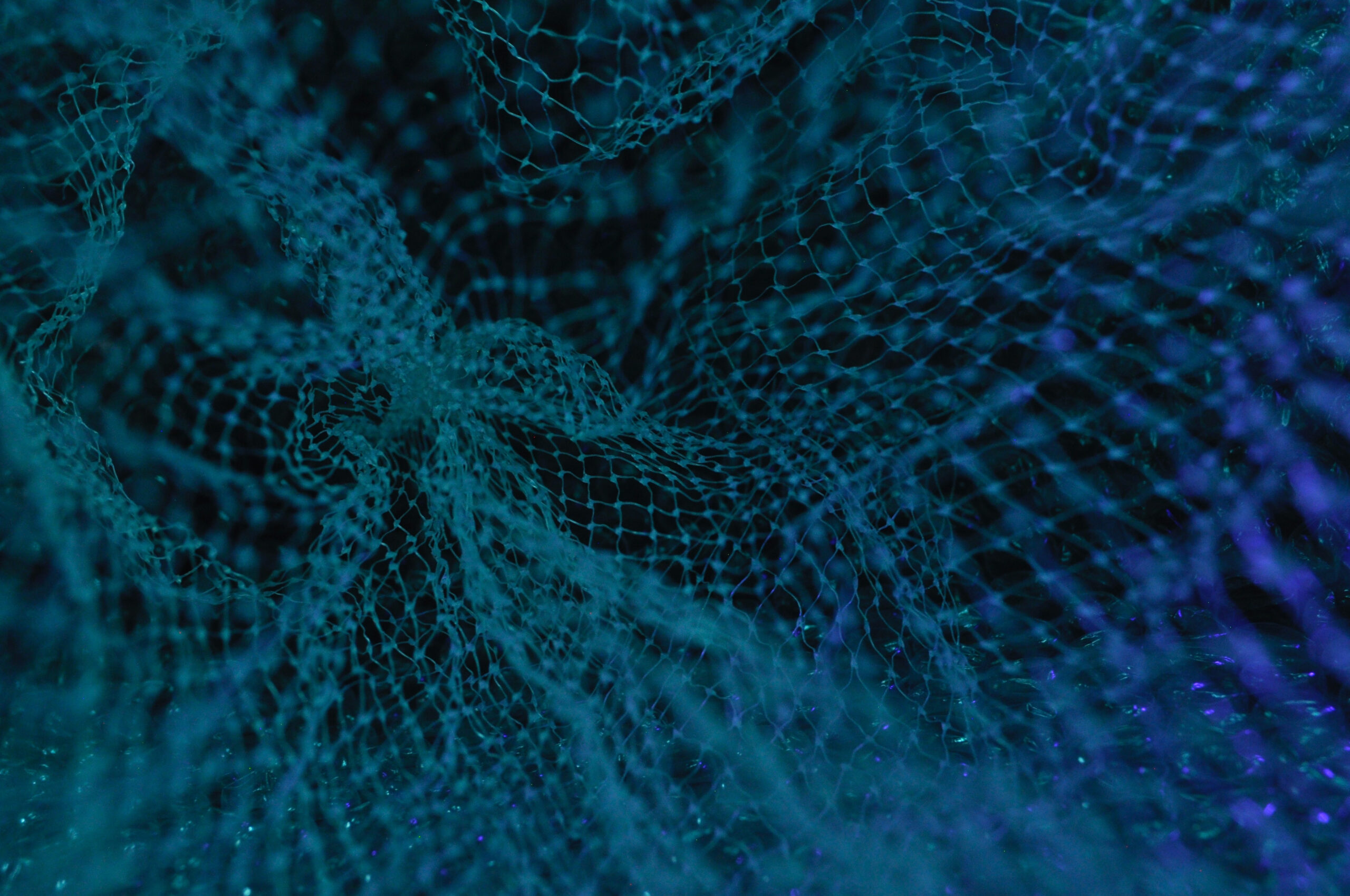 A blue net on a black background